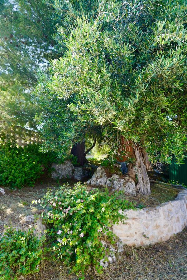 オストゥーニIl Giardinoアパートメント エクステリア 写真