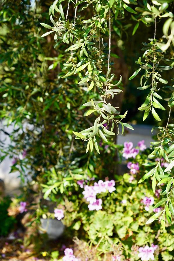 オストゥーニIl Giardinoアパートメント エクステリア 写真