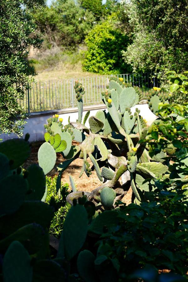 オストゥーニIl Giardinoアパートメント エクステリア 写真